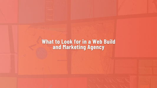 What to Look for in a Web Build and Marketing Agency