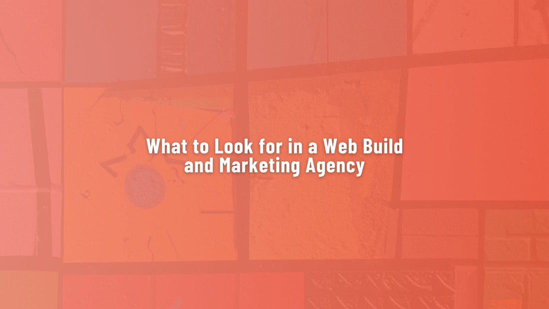 What to Look for in a Web Build and Marketing Agency