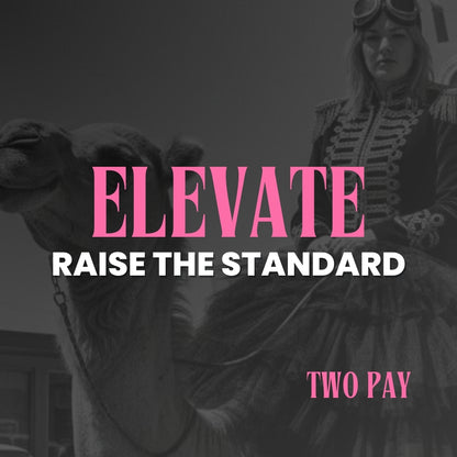 The Shopify Elevate